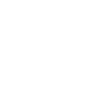 A vector element 