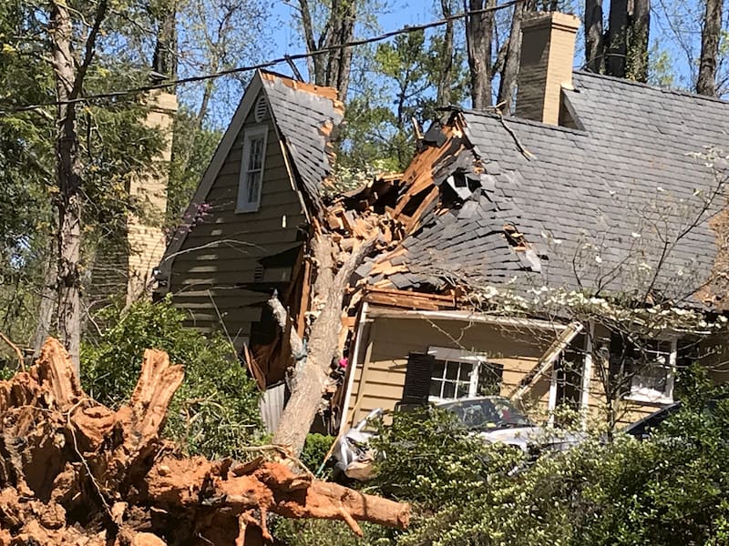 A large tree has fallen onto a house, causing significant roof damage.