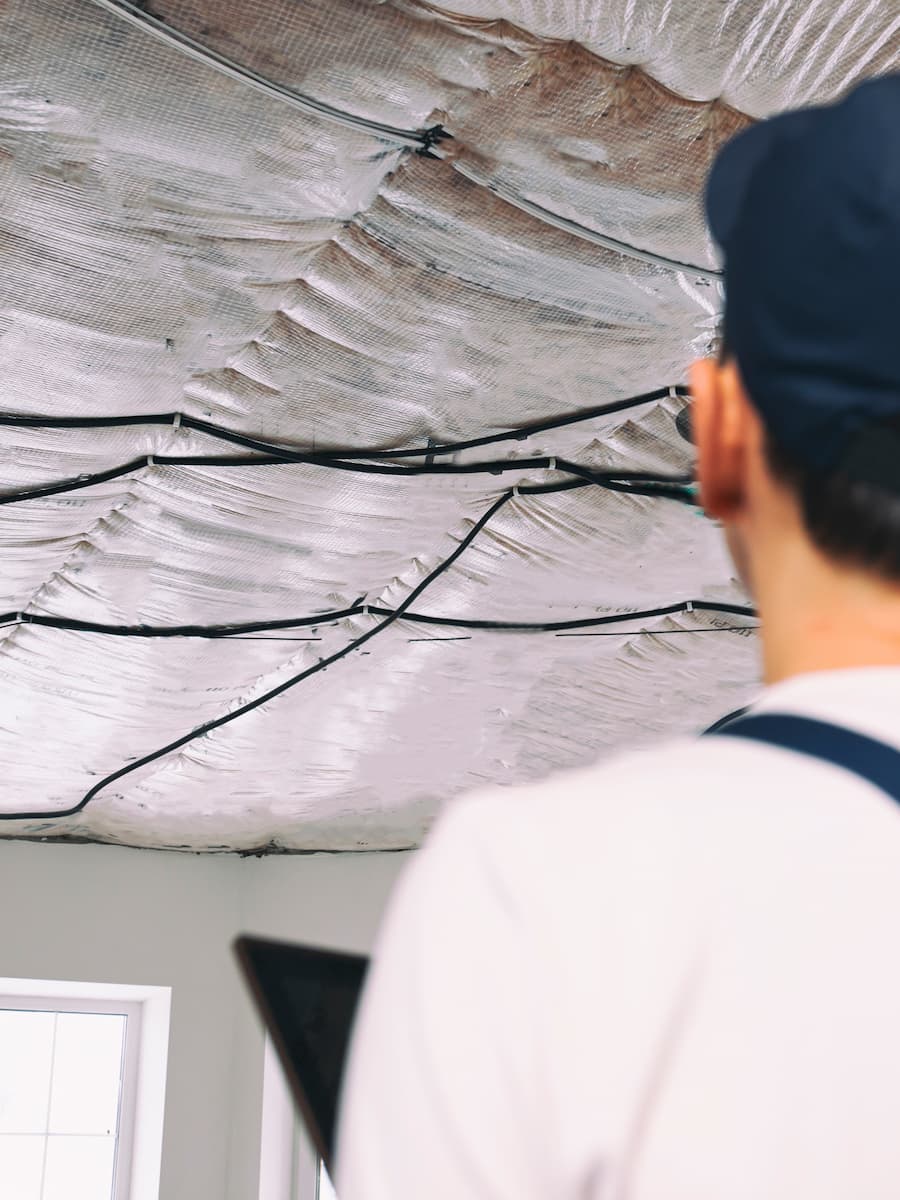 Person observing a detailed ceiling map or artwork.