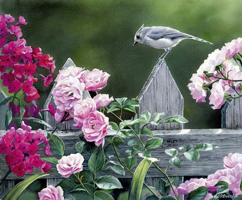 Bird perched on fence surrounded by flowers.